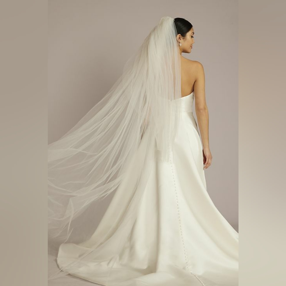 David's Bridal two tier raw-edge chapel-length veil